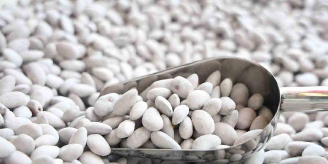 Kilolarca değil tonlarca satıldı: ‘Beyaz altın’ rekor talep gördü 5